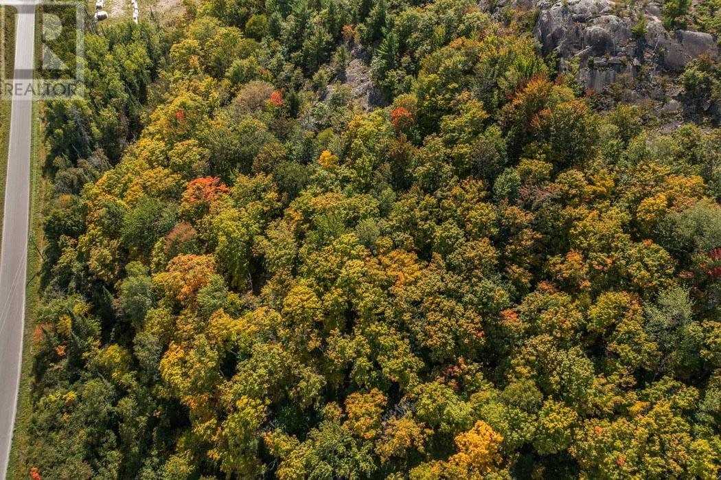 Corner Of Carter Side Road And Gordon Lake Road Pa, Johnson Township, Ontario  P0R 1E0 - Photo 14 - SM252706