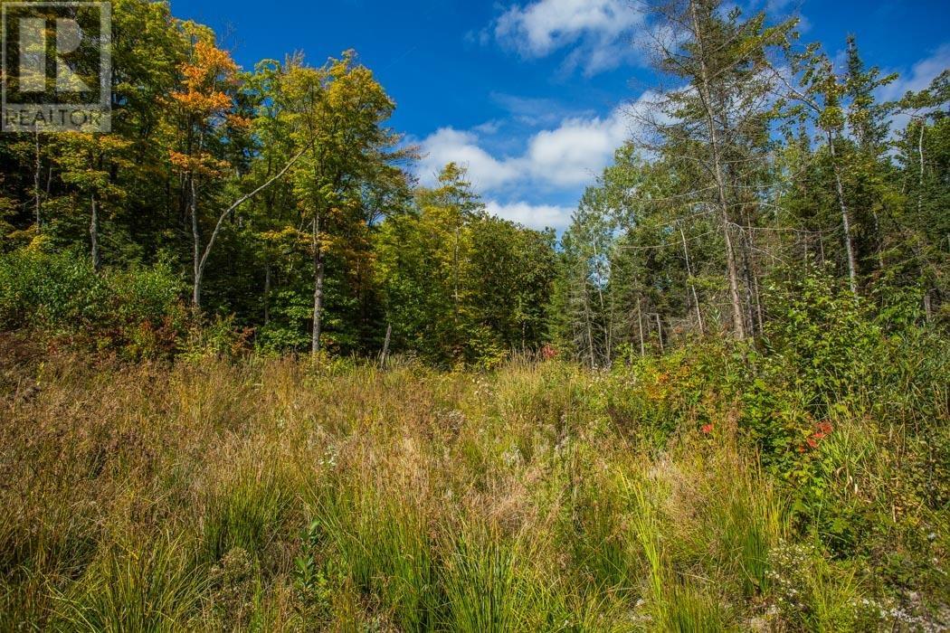 Corner Of Carter Side Road And Gordon Lake Road Pa, Johnson Township, Ontario  P0R 1E0 - Photo 23 - SM252706