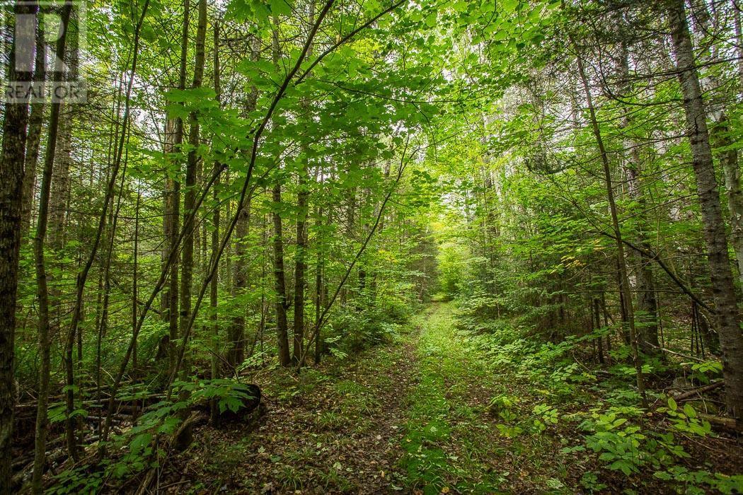 Trunk Road / HWY 17, Huron Shores, Ontario
