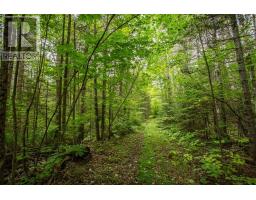 Trunk Road / HWY 17, Huron Shores, Ontario