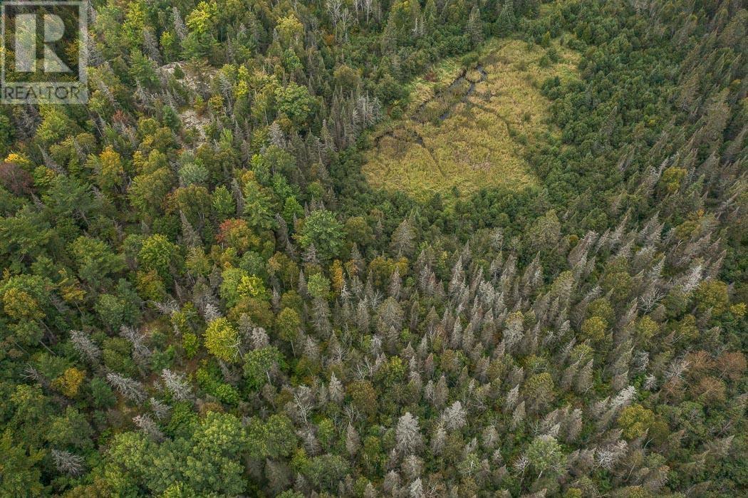 Trunk Road / Hwy 17, Huron Shores, Ontario  P0R 1L0 - Photo 15 - SM252737