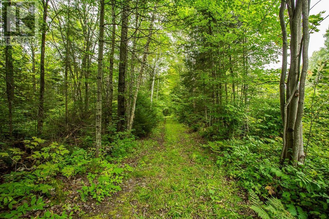 Trunk Road / Hwy 17, Huron Shores, Ontario  P0R 1L0 - Photo 30 - SM252737