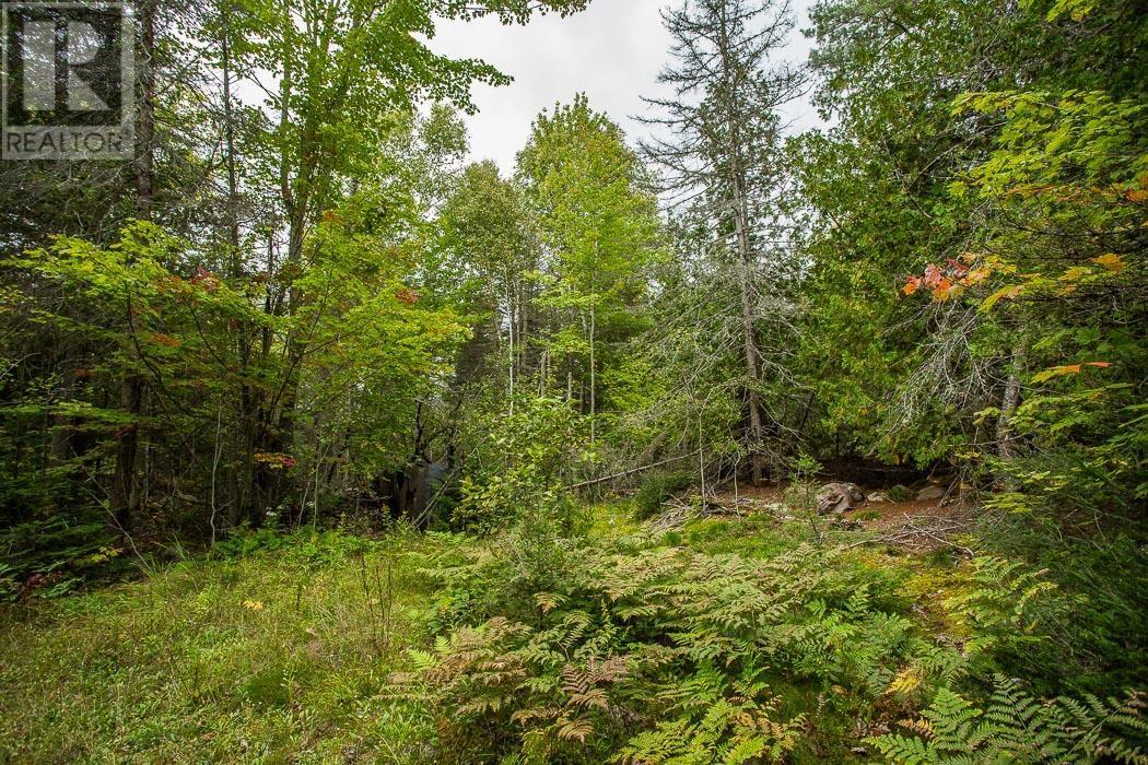 Trunk Road / Hwy 17, Huron Shores, Ontario  P0R 1L0 - Photo 32 - SM252737