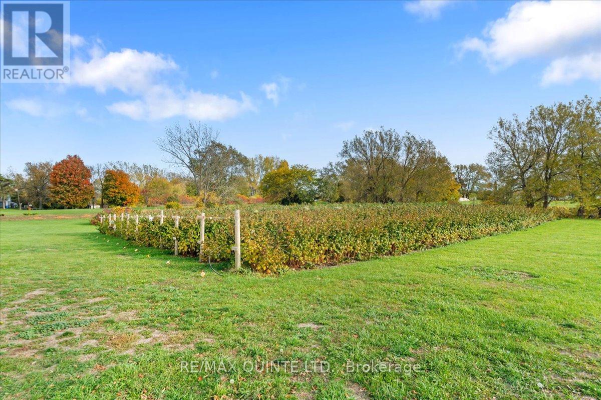 15775 Loyalist Parkway, Prince Edward County, Ontario  K0K 1G0 - Photo 38 - X12519352