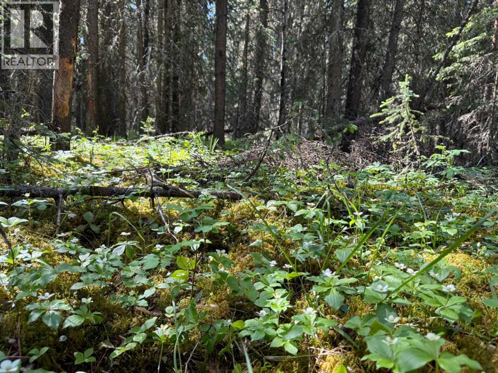 282226 Range Road 54a, Rural Rocky View County, Alberta  T4C 2W1 - Photo 4 - A2233283