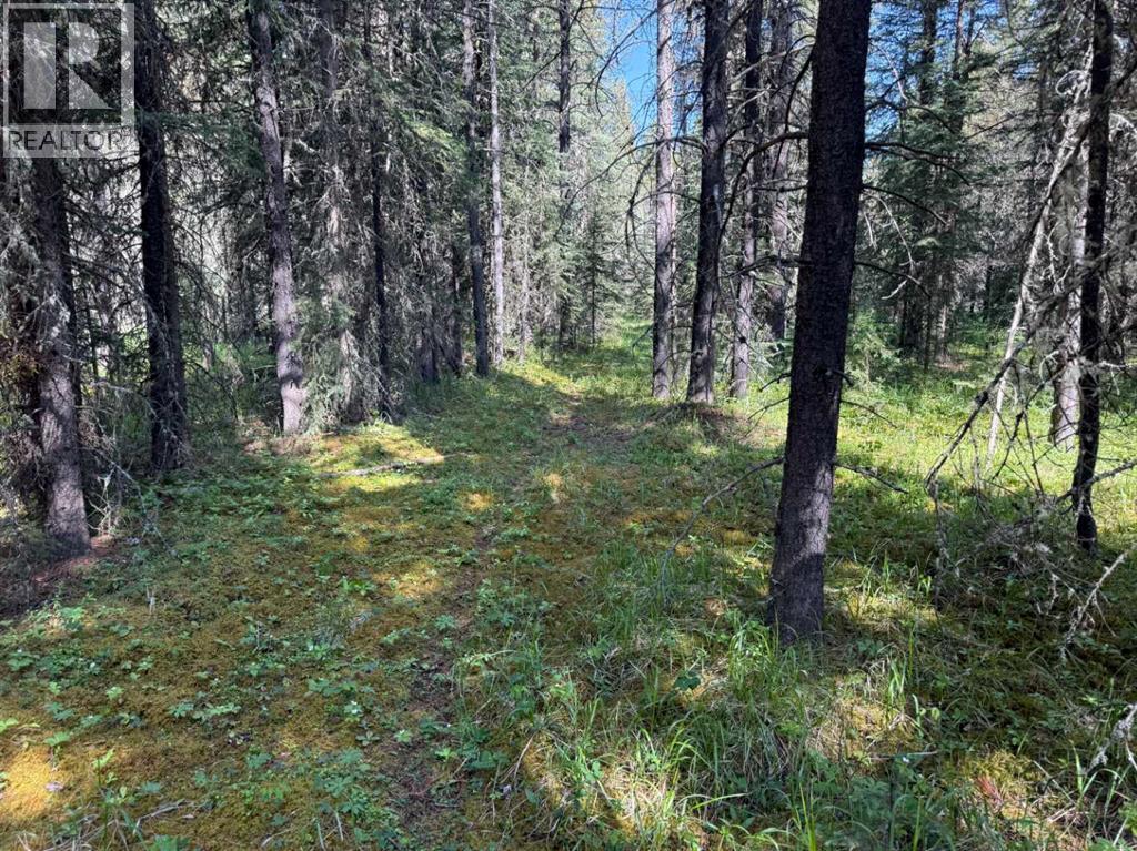 282226 Range Road 54a, Rural Rocky View County, Alberta  T4C 2W1 - Photo 6 - A2233283