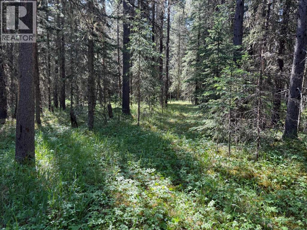 282226 Range Road 54a, Rural Rocky View County, Alberta  T4C 2W1 - Photo 5 - A2233283