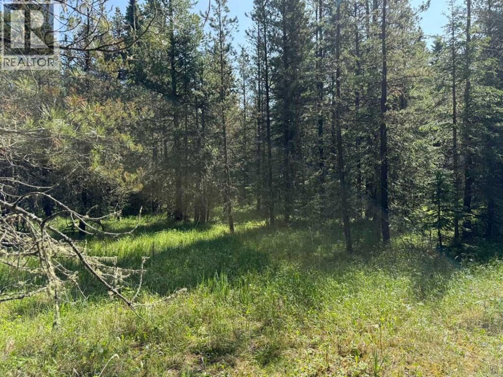 282226 Range Road 54a, Rural Rocky View County, Alberta  T4C 2W1 - Photo 3 - A2233283