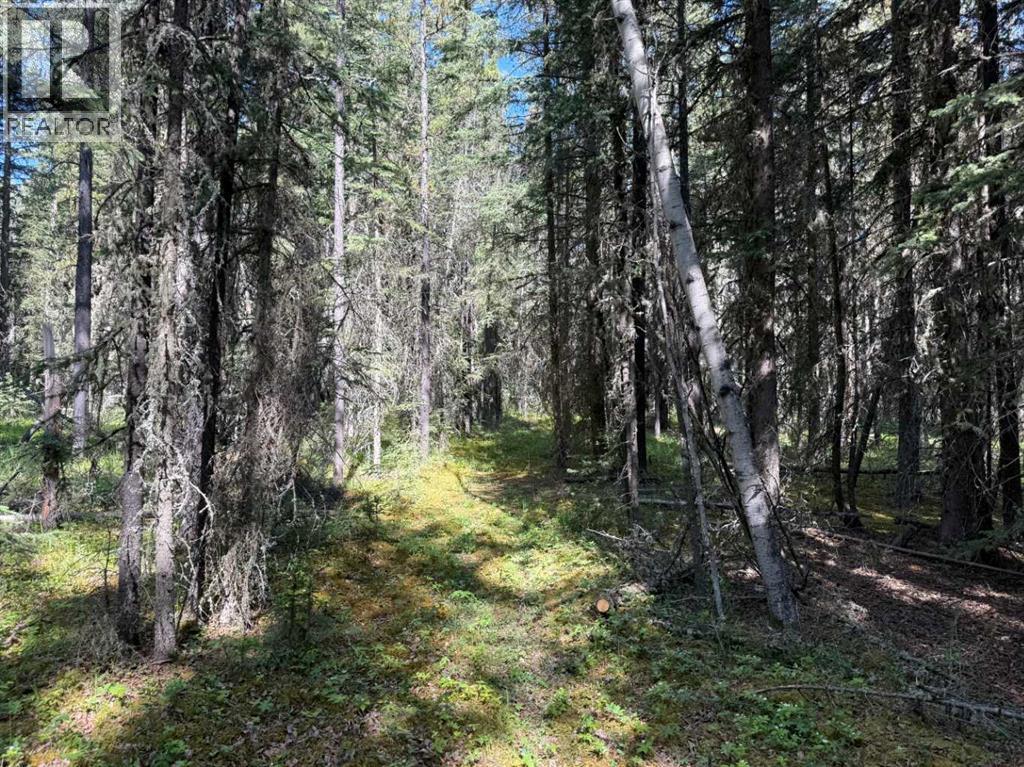 282226 Range Road 54a, Rural Rocky View County, Alberta  T4C 2W1 - Photo 7 - A2233283