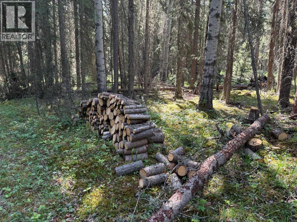 282226 Range Road 54a, Rural Rocky View County, Alberta  T4C 2W1 - Photo 8 - A2233283