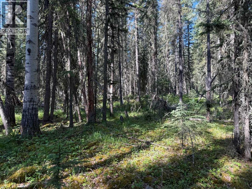 282226 Range Road 54a, Rural Rocky View County, Alberta  T4C 2W1 - Photo 9 - A2233283