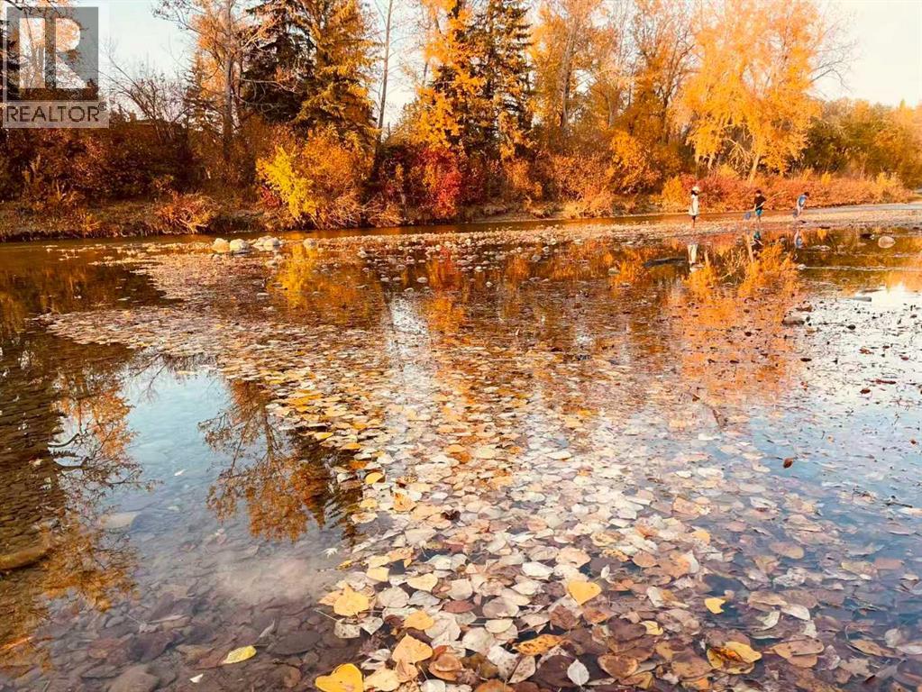 3609 Parkhill Street Sw, Calgary, Alberta  T2S 2Z5 - Photo 40 - A2264912