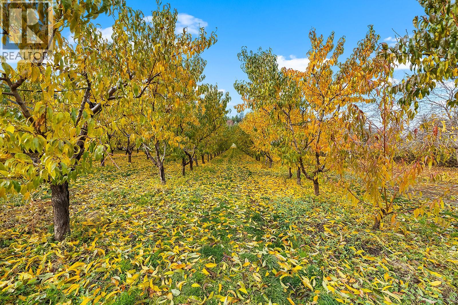 911 32nd Avenue S, Erickson, British Columbia  V0B 1G1 - Photo 3 - 10367553