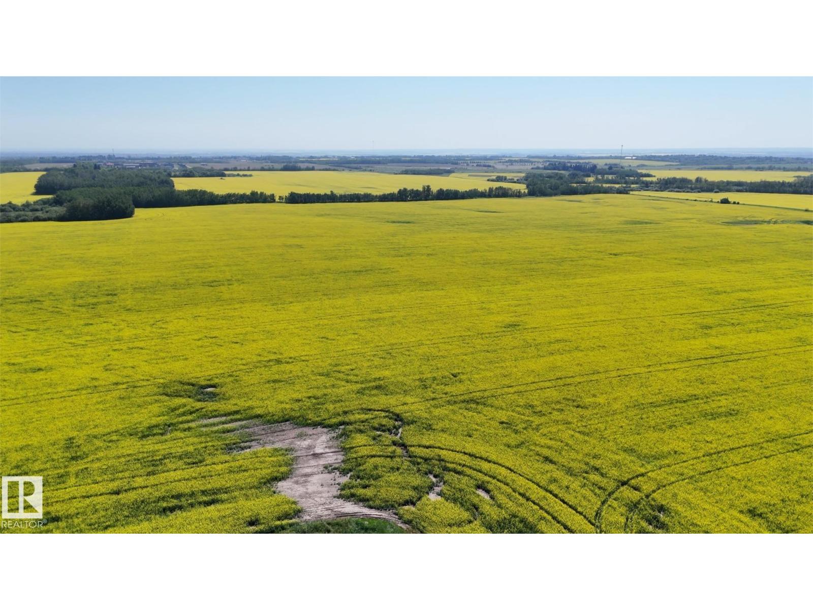 21203 18 St Nw, Edmonton, Alberta  T5Y 6B7 - Photo 11 - E4464998