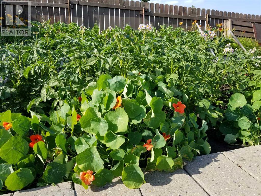 48 Thornwood Close Nw, Calgary, Alberta  T2K 5K3 - Photo 46 - A2262334