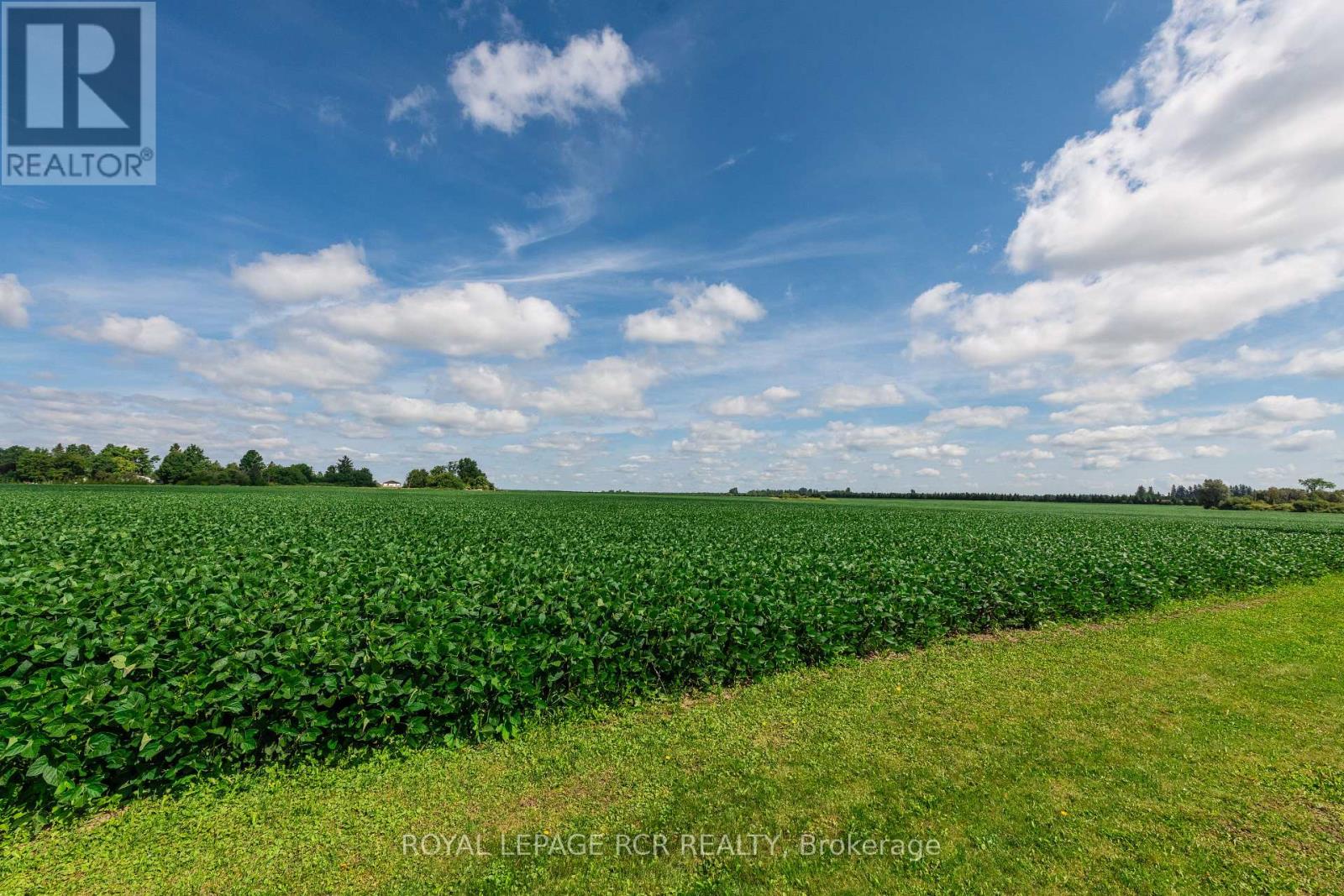 285017 County Road 10, Amaranth, Ontario  L9W 0Y6 - Photo 44 - X12519580