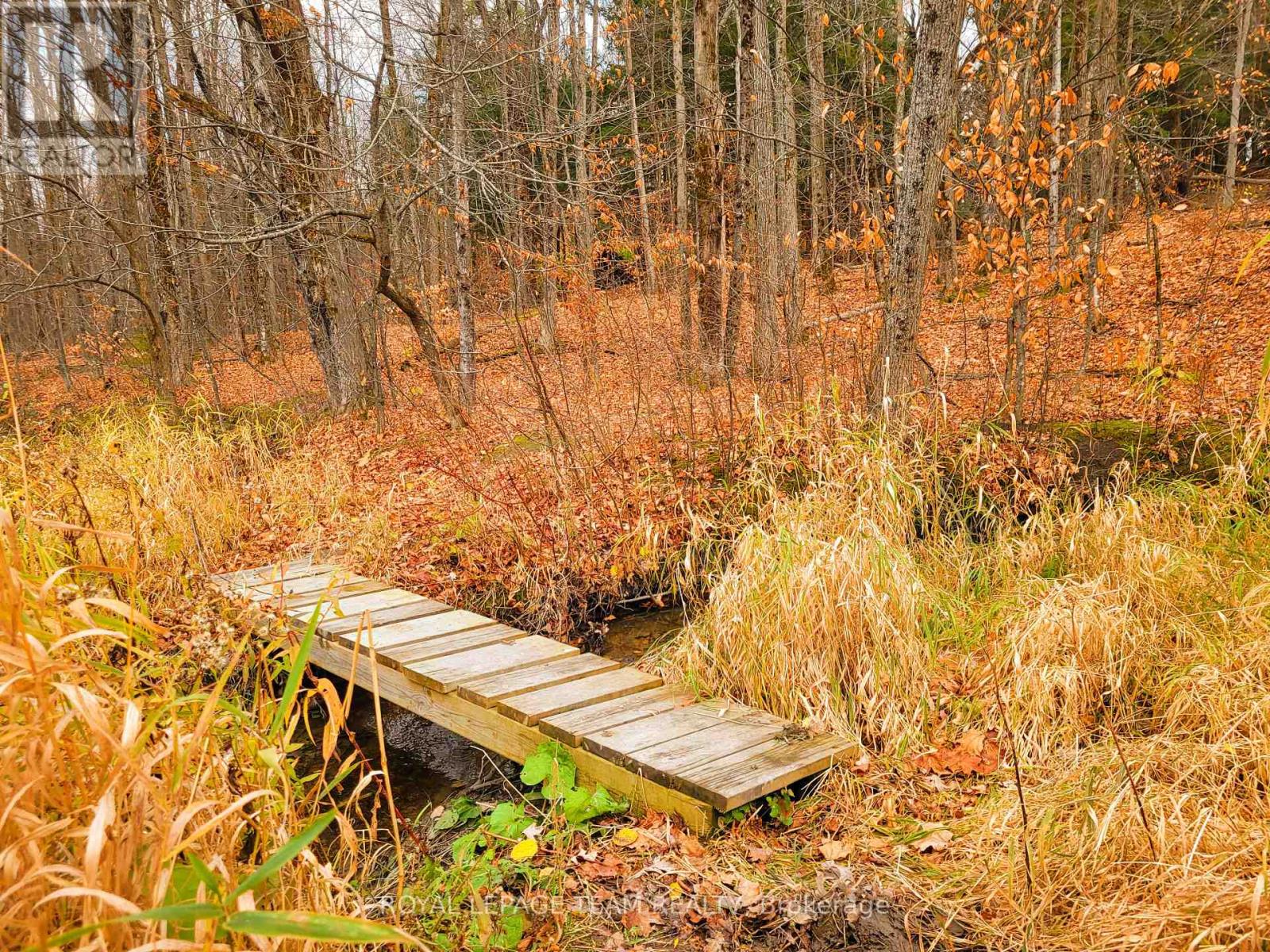 1201 Dunning Road, Ottawa, Ontario A1A 1A1 - Photo 13 - X12519776