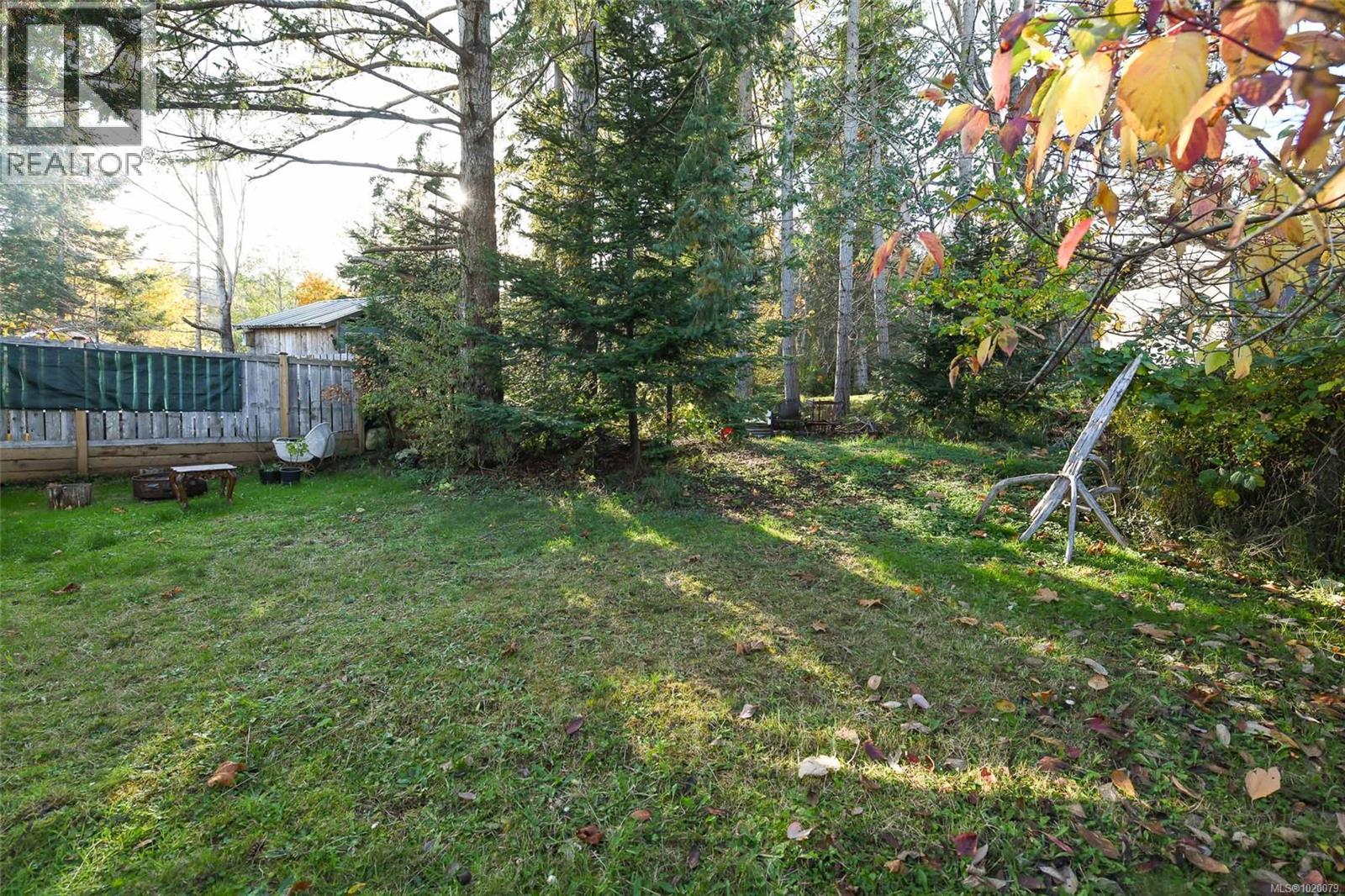 5557 Horne St, Union Bay, British Columbia V0R 3B0 - Photo 5 - 1020079