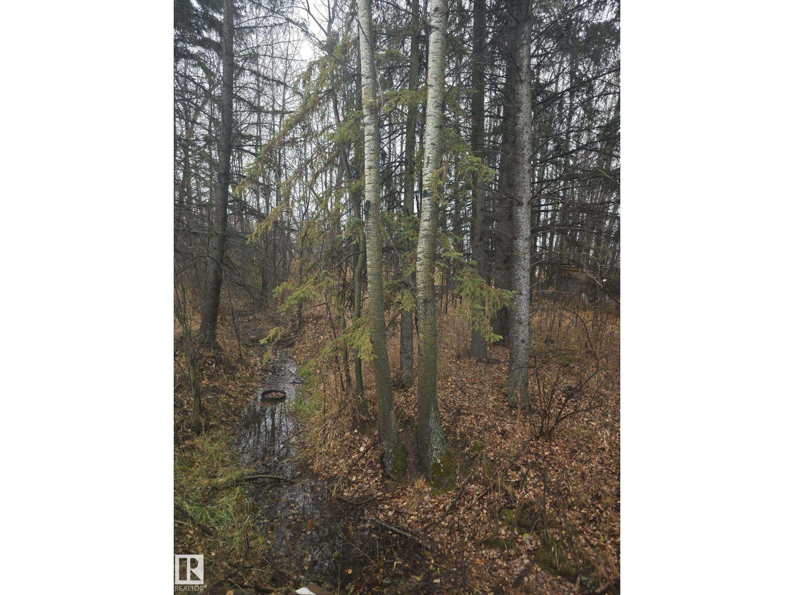 #33 4850 Centre St, New Sarepta, Alberta  T0B 3M0 - Photo 35 - E4465018