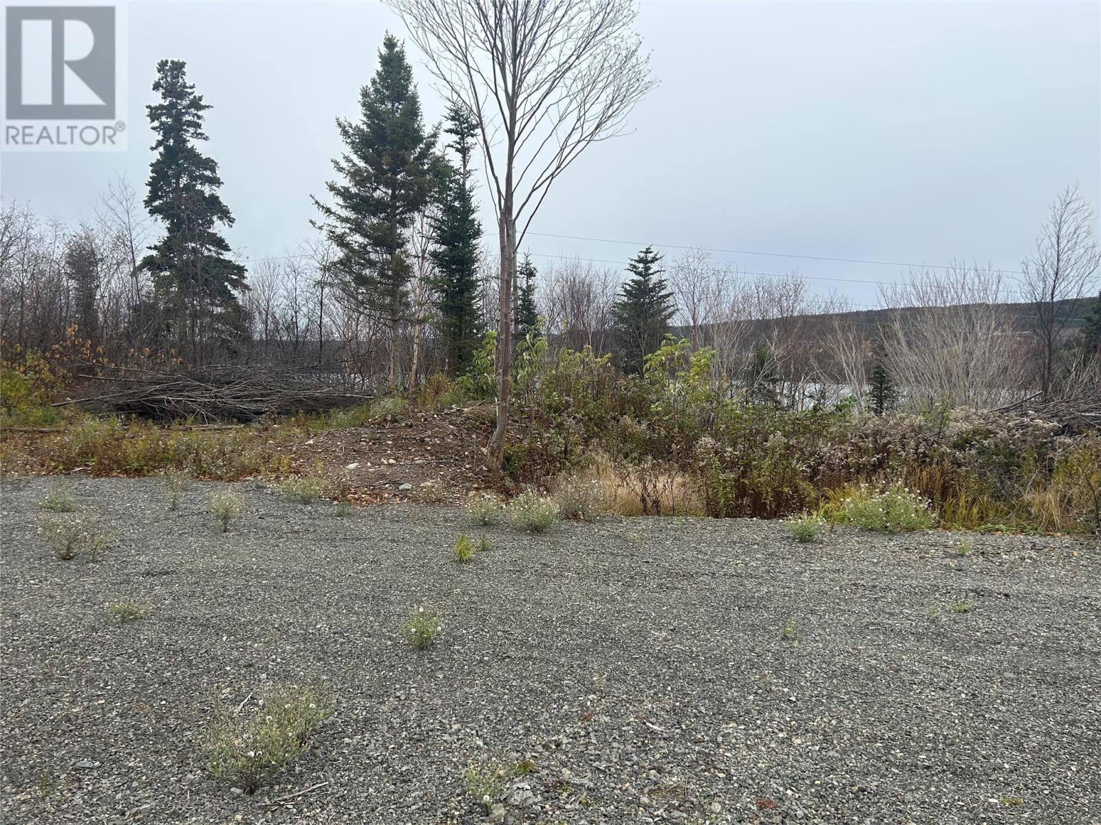 17 Random Island Road, Random Island, Newfoundland & Labrador  A5A 3A1 - Photo 8 - 1291998