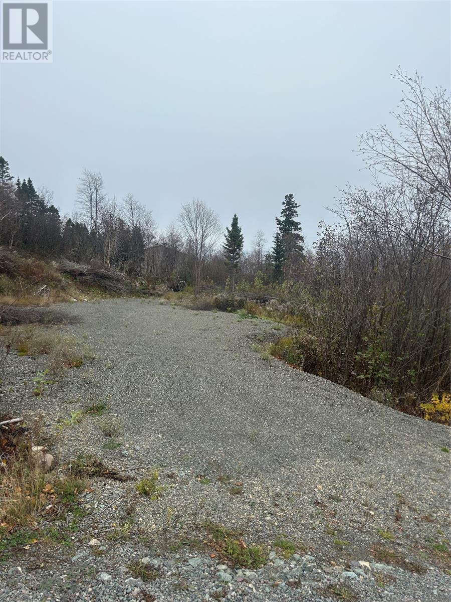 17 Random Island Road, Random Island, Newfoundland & Labrador  A5A 3A1 - Photo 10 - 1291998