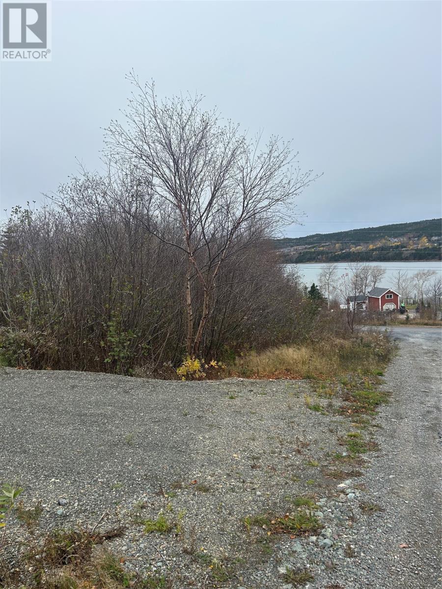 17 Random Island Road, Random Island, Newfoundland & Labrador  A5A 3A1 - Photo 11 - 1291998