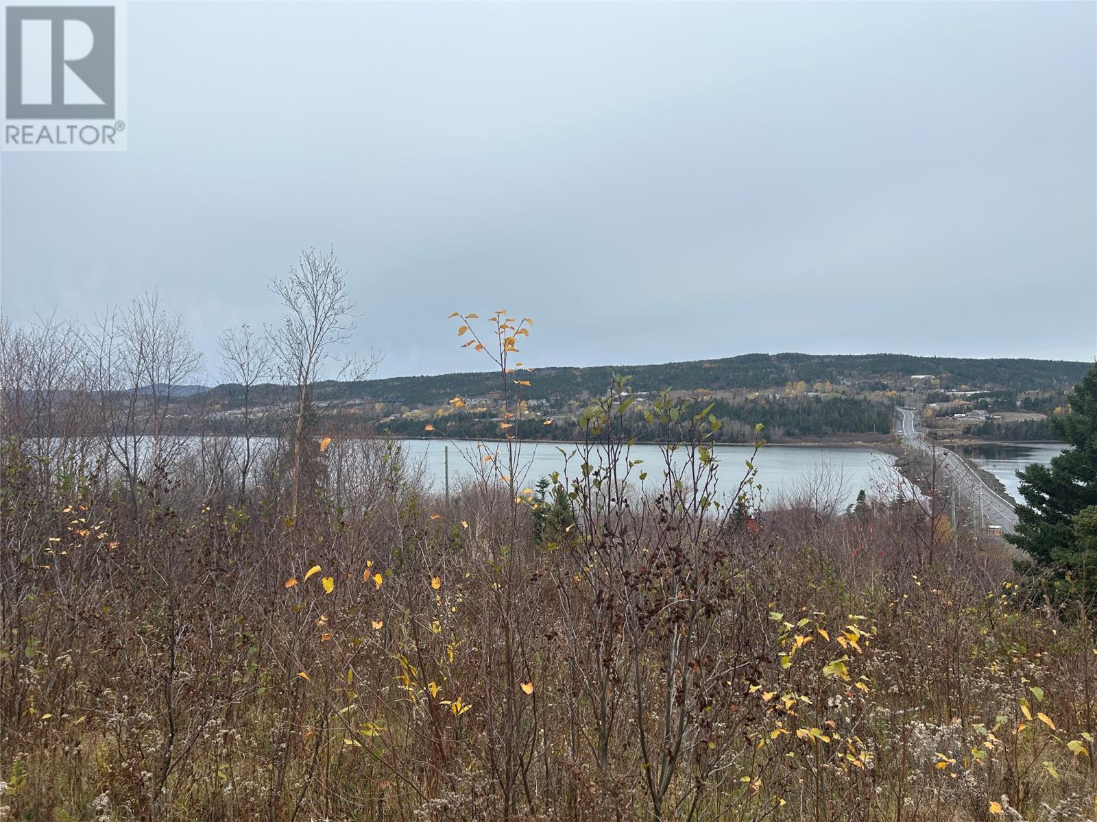 17 Random Island Road, Random Island, Newfoundland & Labrador  A5A 3A1 - Photo 3 - 1291998