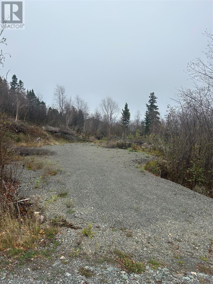 17 Random Island Road, Random Island, Newfoundland & Labrador  A5A 3A1 - Photo 12 - 1291998