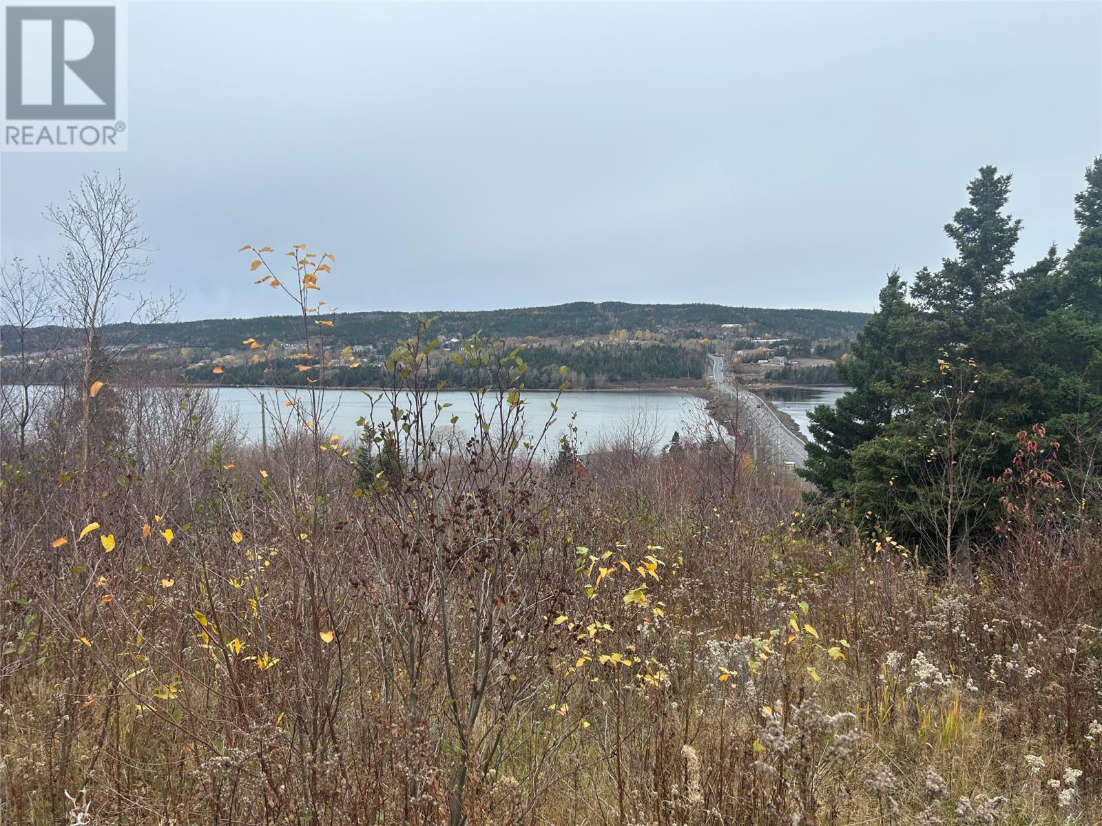 17 Random Island Road, Random Island, Newfoundland & Labrador  A5A 3A1 - Photo 4 - 1291998