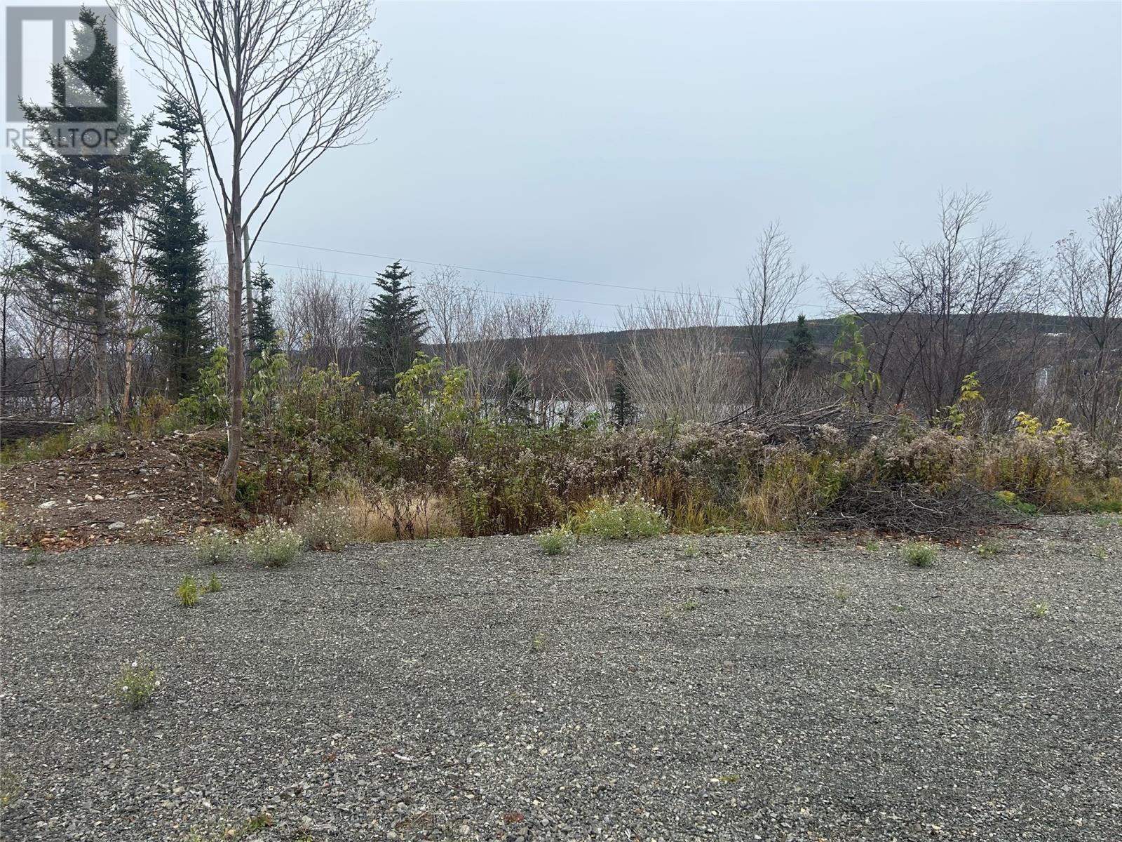 17 Random Island Road, Random Island, Newfoundland & Labrador  A5A 3A1 - Photo 9 - 1291998