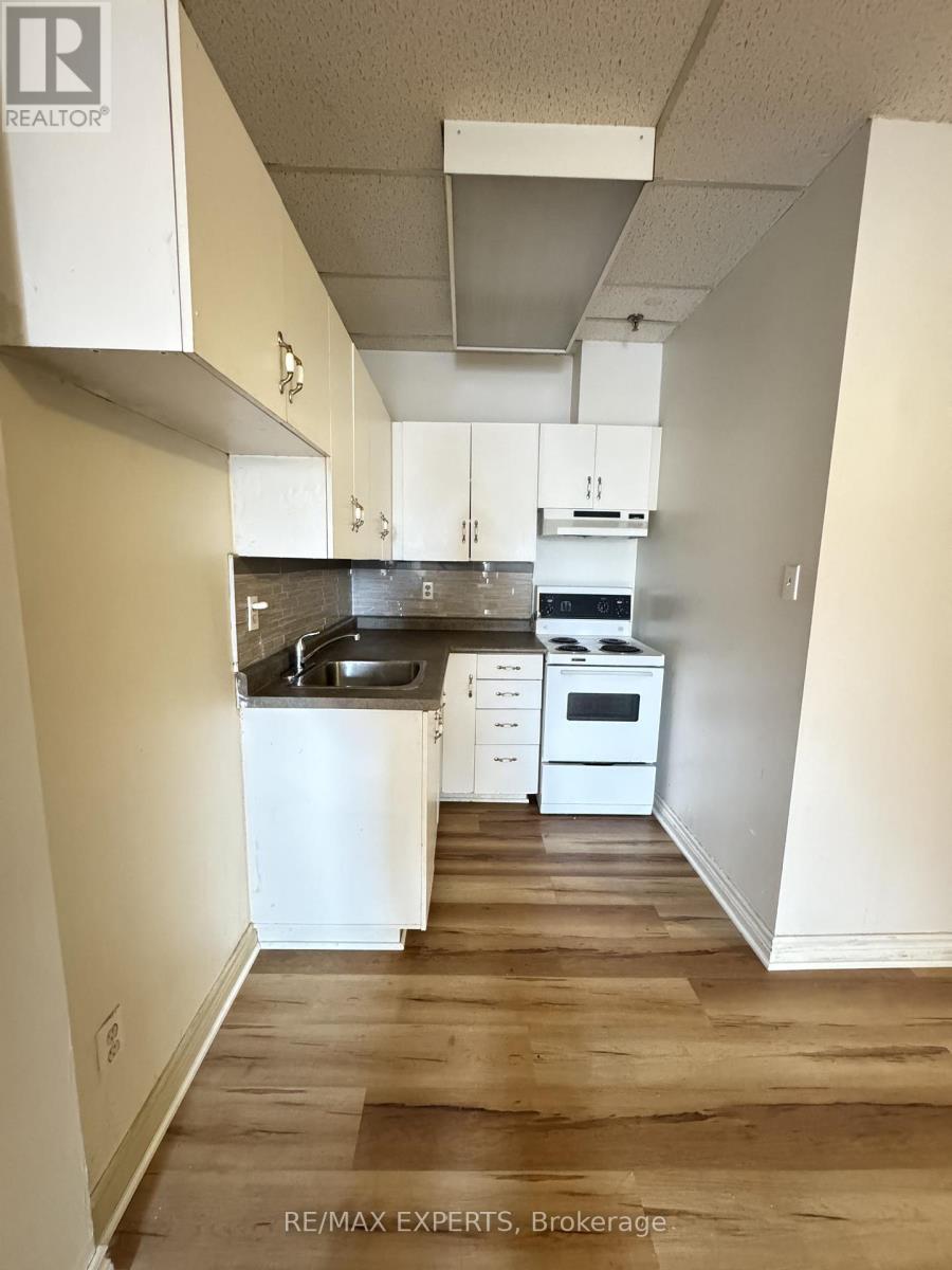 204 - 8 Main Street S, Brampton, Ontario L6W 2C3 - Photo 7 - W12485078