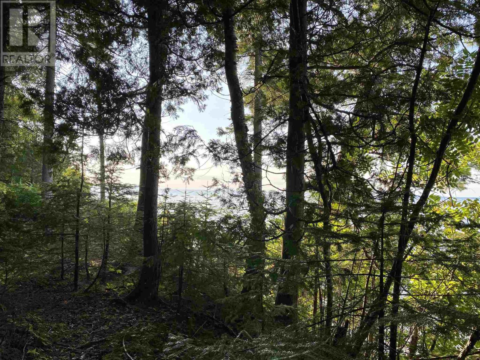 Lot 7 Marlette Dr, Goulais River, Ontario  P0S 1E0 - Photo 6 - SM252317