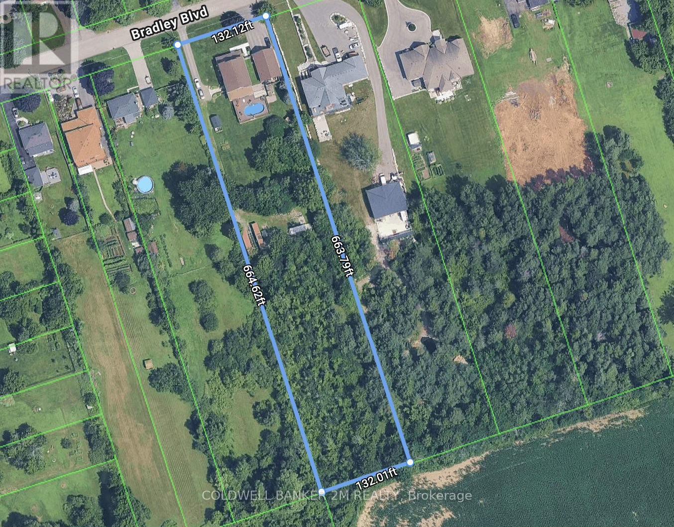 37 Bradley Boulevard, Clarington, Ontario L0B 1J0 - Photo 3 - E12516628