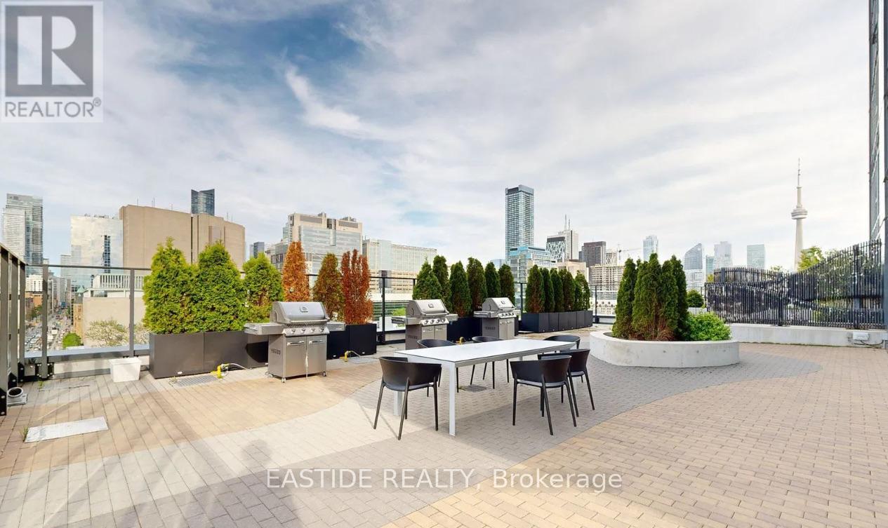 612 - 203 College Street, Toronto, Ontario M5T 1P9 - Photo 39 - C12425285