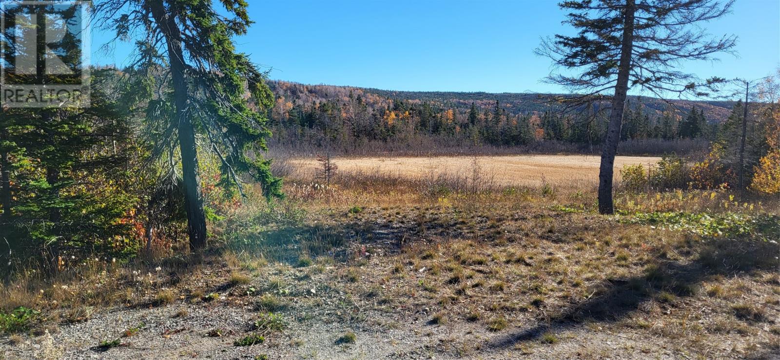4 Flat Bay Brook Road, St. George's, Newfoundland & Labrador    - Photo 4 - 1291942