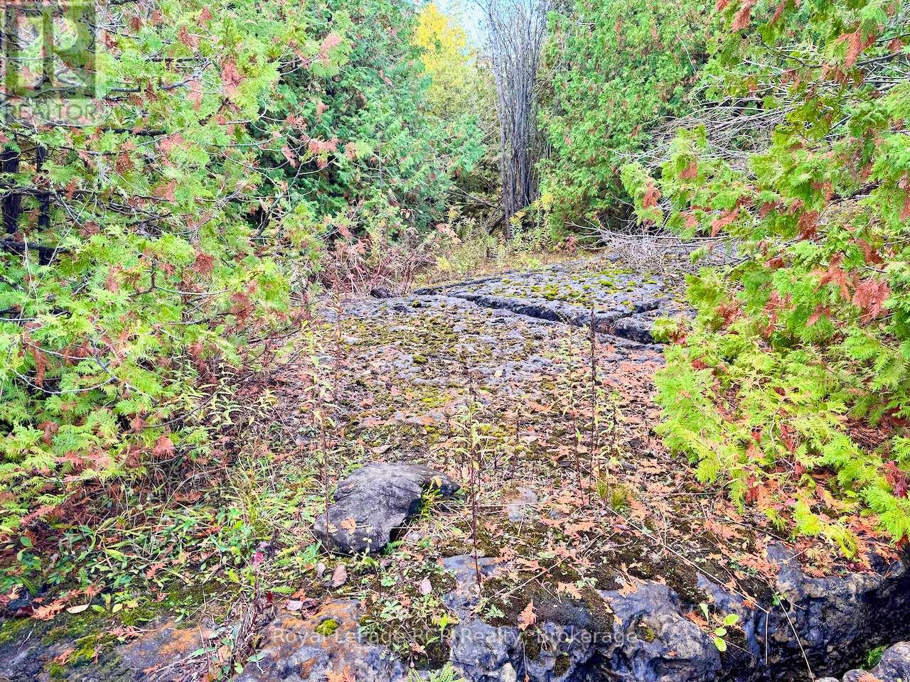 4887 Hwy 6 Highway, Northern Bruce Peninsula, Ontario N0H 1Z0 - Photo 18 - X12520098