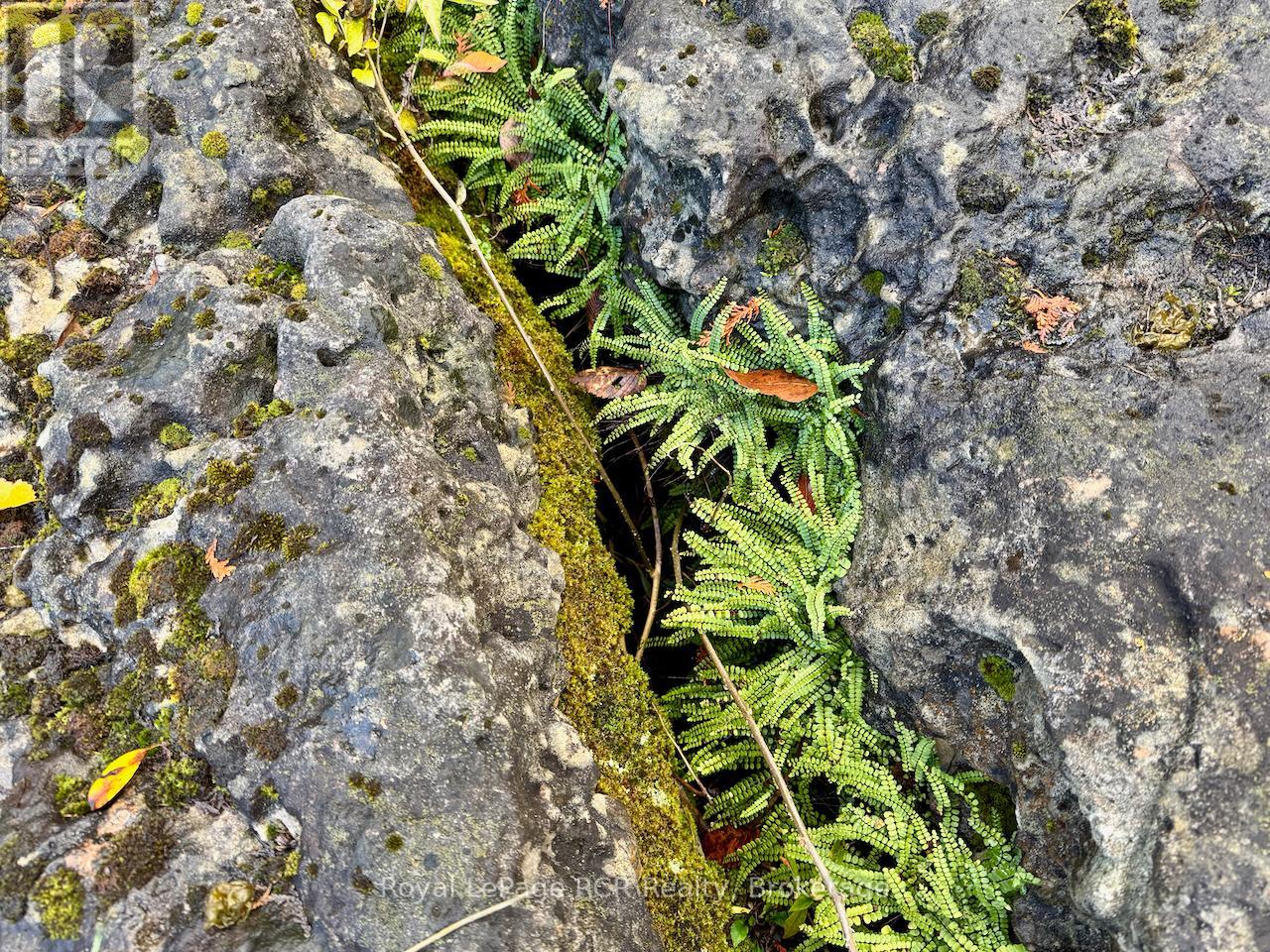 4887 Hwy 6 Highway, Northern Bruce Peninsula, Ontario N0H 1Z0 - Photo 19 - X12520098