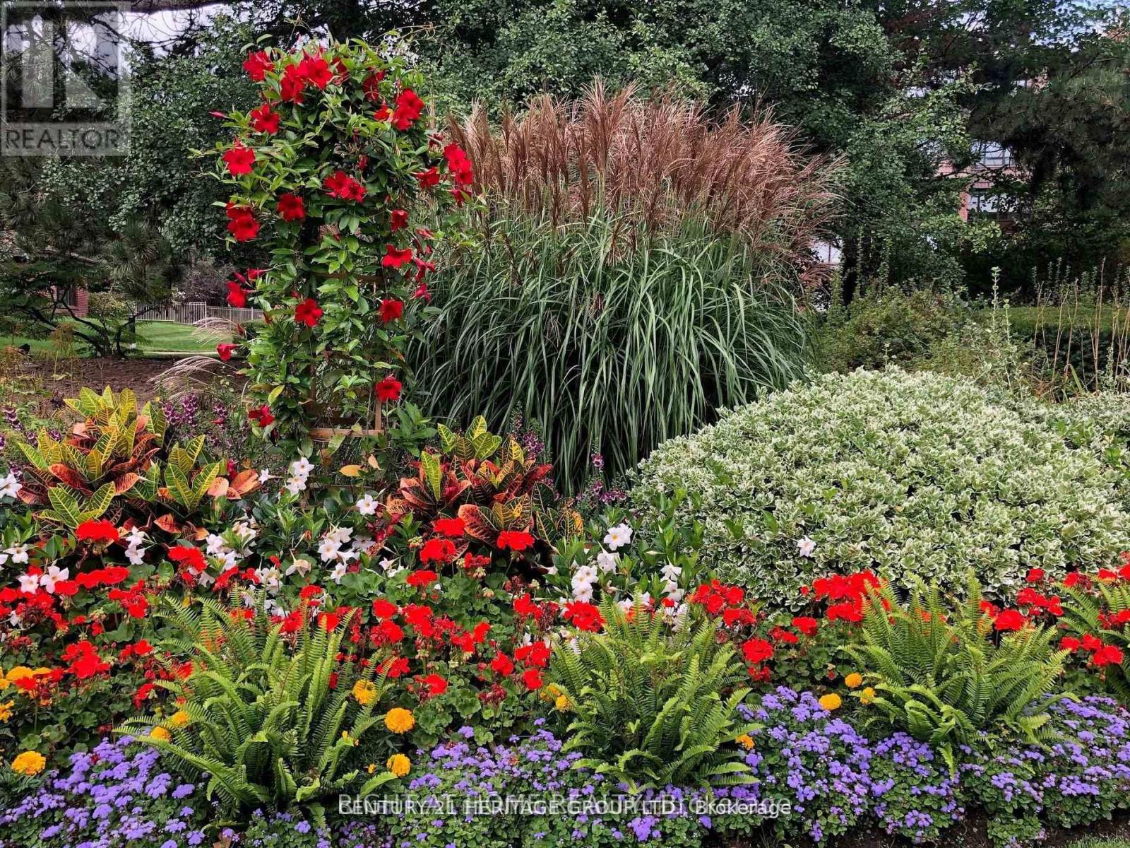 206 - 1210 Don Mills Road, Toronto, Ontario M3B 3N9 - Photo 38 - C12416491