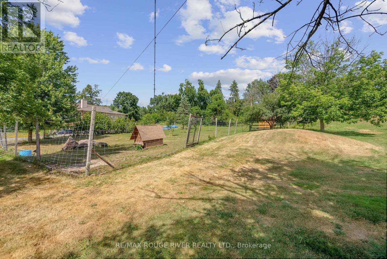 810 Canal Road, Douro-Dummer, Ontario K9L 1A1 - Photo 39 - X12335904