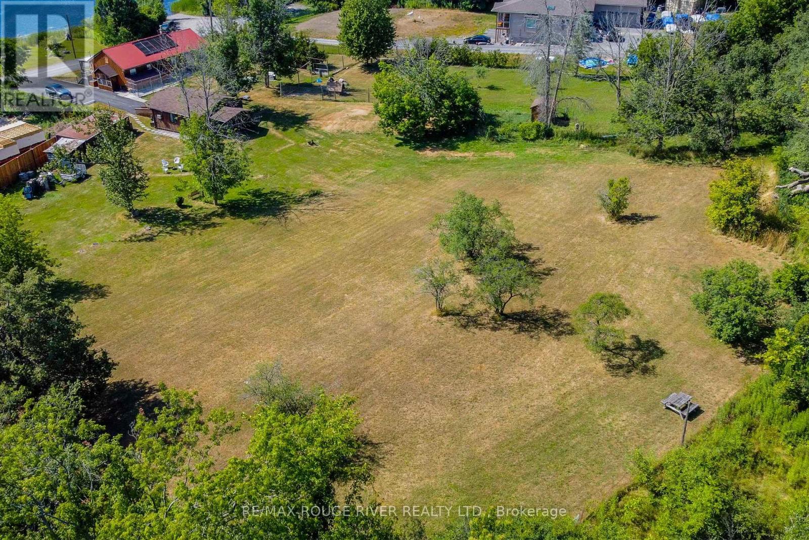 810 Canal Road, Douro-Dummer, Ontario K9L 1A1 - Photo 40 - X12335904