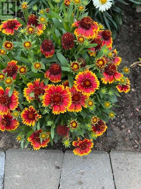 602 Patridge Drive, Pelican Point, Alberta  T0B 0H0 - Photo 49 - A2268864