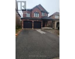 WALK OUT BASEMENT  - 36 SANTA AMATO CRESCENT, Vaughan, Ontario