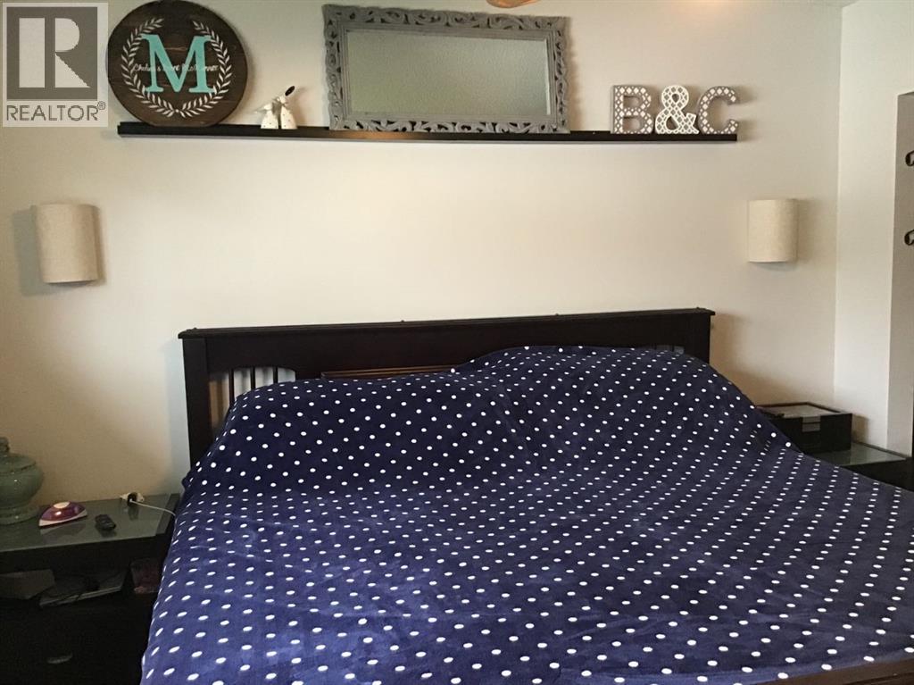 16 Mcleod Drive, Whitecourt, Alberta  T7S 1H4 - Photo 11 - A2262674