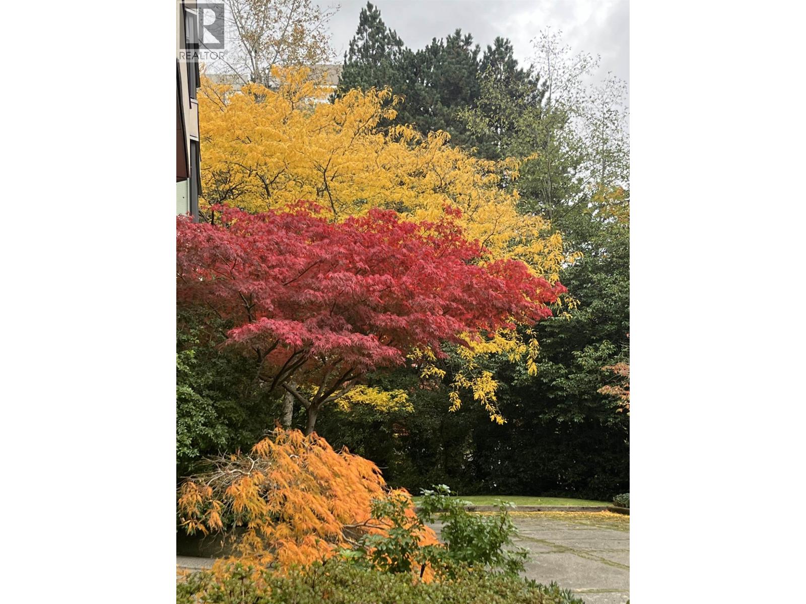 503 7321 Halifax Street, Burnaby, British Columbia V5A 4R5 - Photo 22 - R3027585