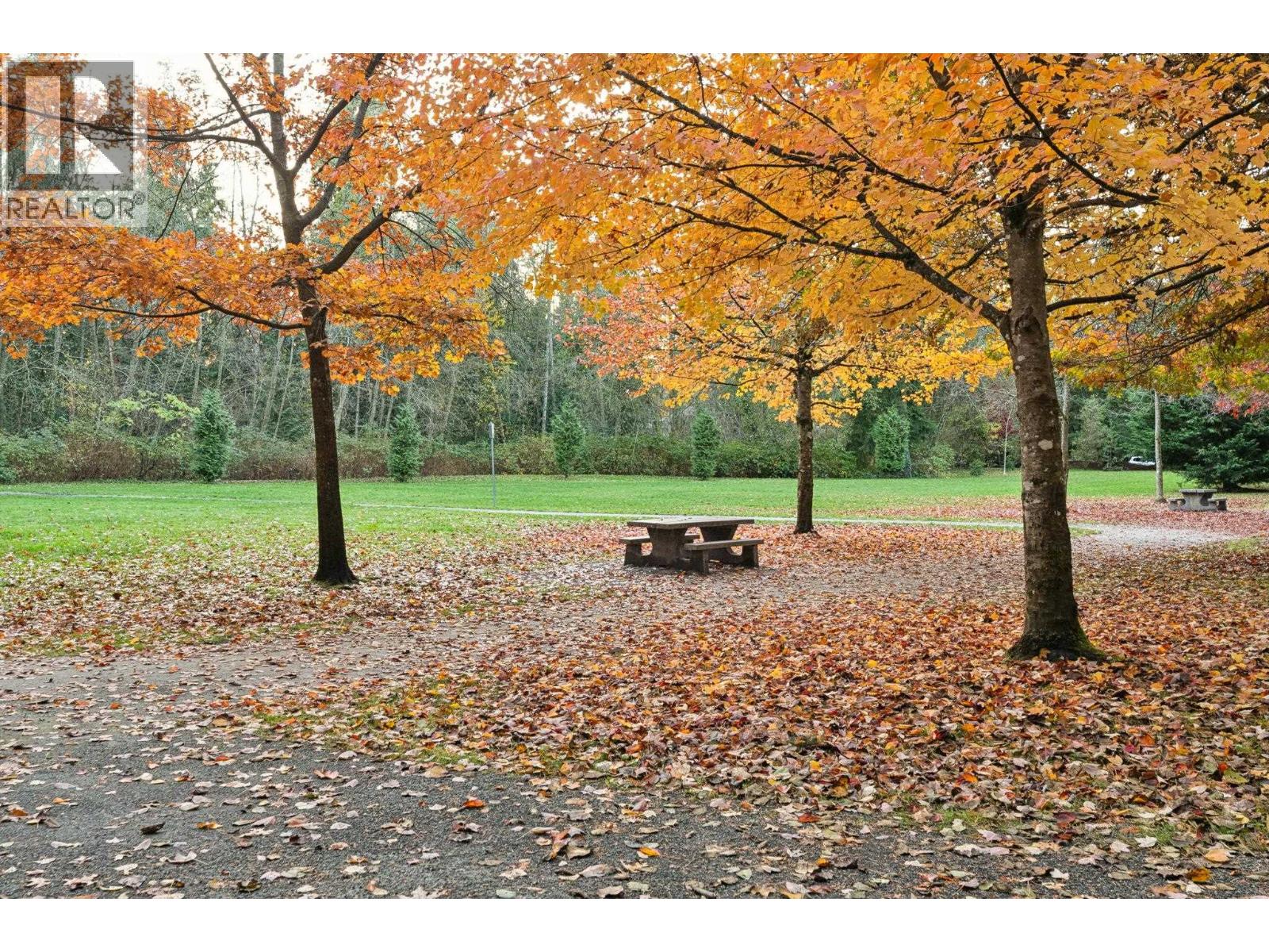 2994 Mt Seymour Parkway, North Vancouver, British Columbia  V7H 1E9 - Photo 29 - R3064935