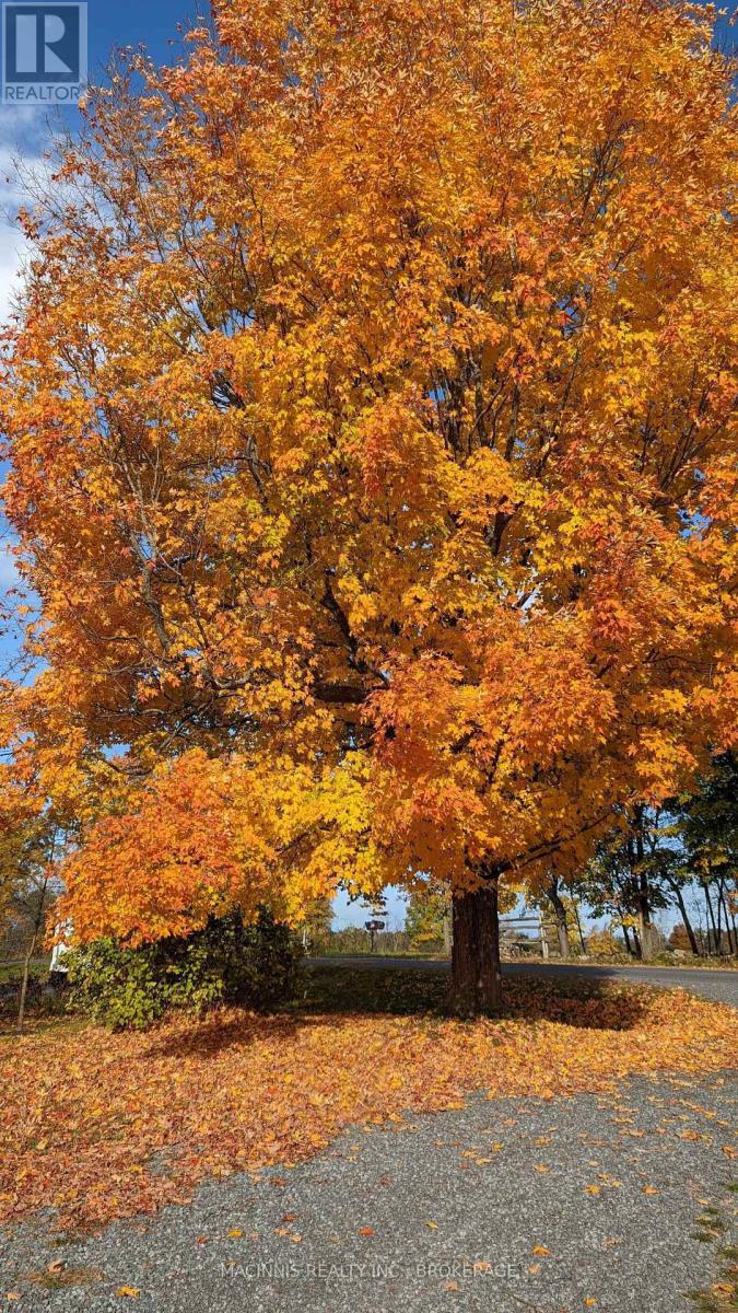 2040 Keeley Road, Frontenac, Ontario K0H 2T0 - Photo 36 - X12520156