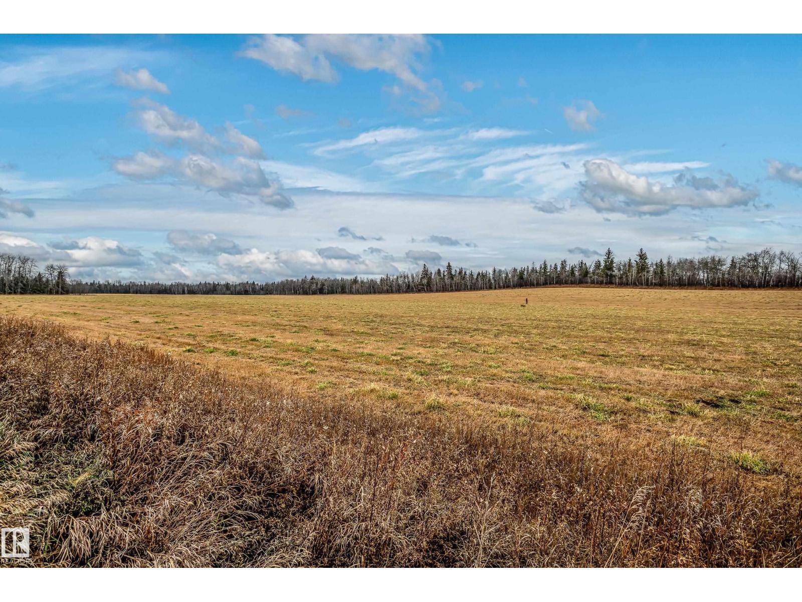 46 Heron Cr, Spruce Grove, Alberta  T7X 0G1 - Photo 54 - E4465050