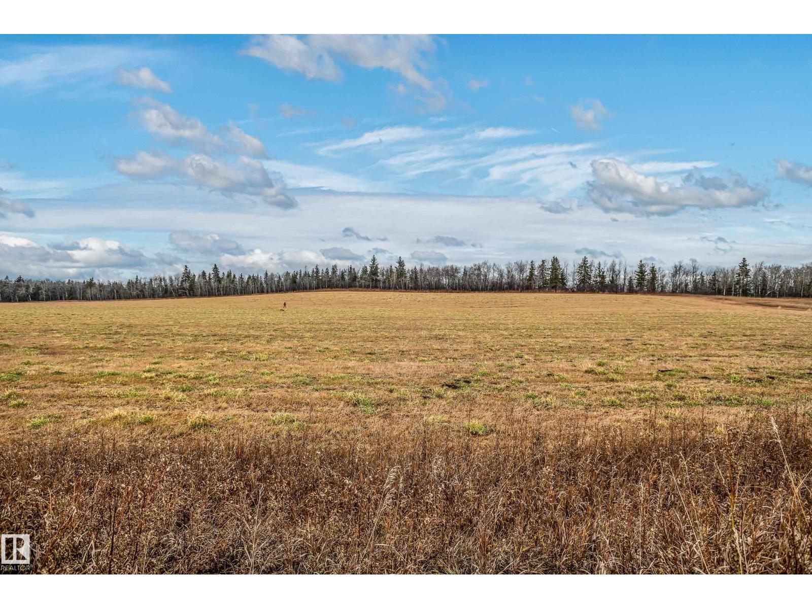 46 Heron Cr, Spruce Grove, Alberta  T7X 0G1 - Photo 55 - E4465050