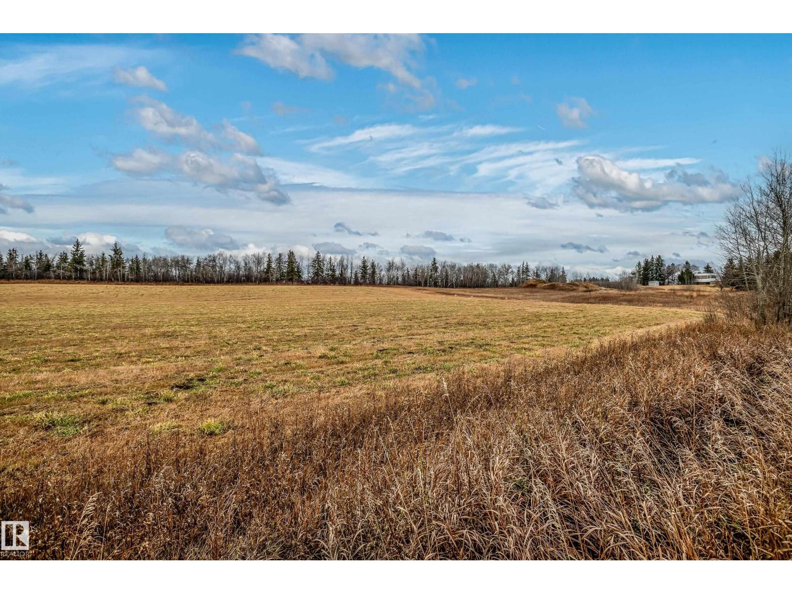 46 Heron Cr, Spruce Grove, Alberta  T7X 0G1 - Photo 56 - E4465050