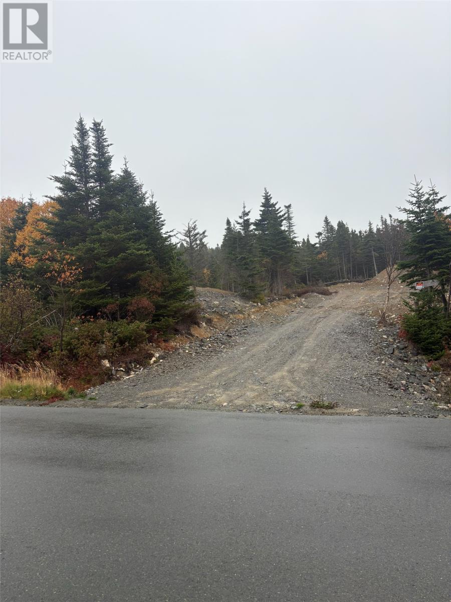 95-97 Deans Road, Witless Bay, Newfoundland & Labrador